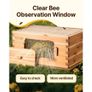 Beeswax Coated Natural Fir Wood, Langstroth Beehive Kit with 10 Frames and Foundations, Transparent Acrylic Bee Windows for Beginners and Pro Beekeepers Image 4