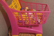 Trike &amp; Shopping Trolley