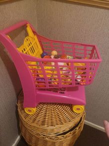Trike & Shopping Trolley