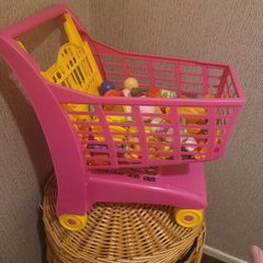 Trike & Shopping Trolley
