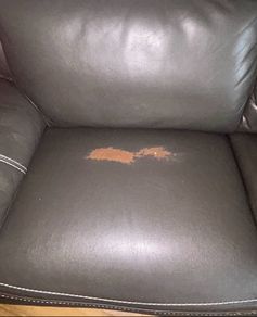 sofa