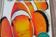 Ocean book for kids