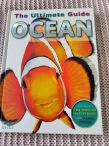 Ocean book for kids