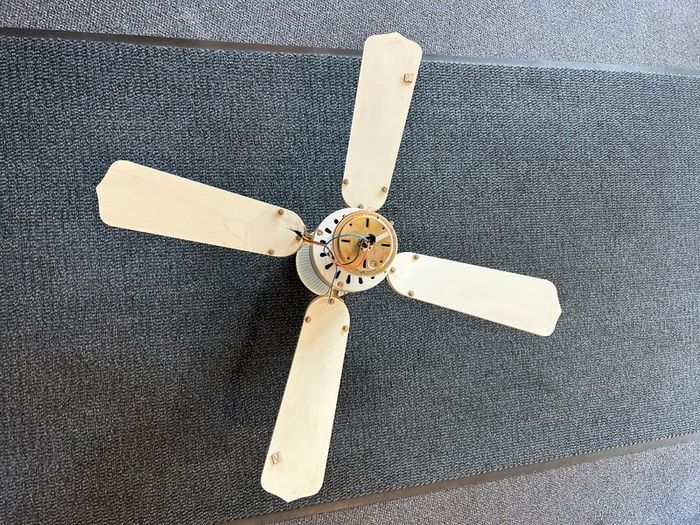 Ceiling fan light