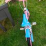 kids bike 14 Image 2