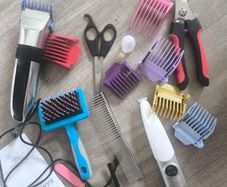 a dog grooming kit