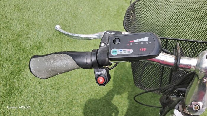 Ladies Electric Bicycle