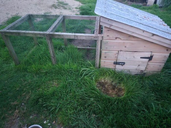 Chicken Coop, Rabbit Hutch