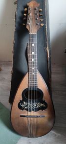 Mandolin