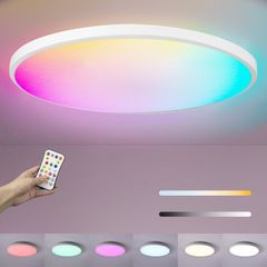 Bathroom Led Ceiling Light Smart - 24W RGBCW Color 3000-6500k Dimmable Bath Ceiling Lights Round with Remote Control Ceiling Lamp for Bedroom Hallway Kitchen