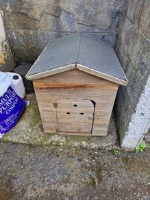 Dog house