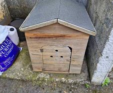 Dog house