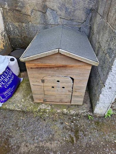 Dog house