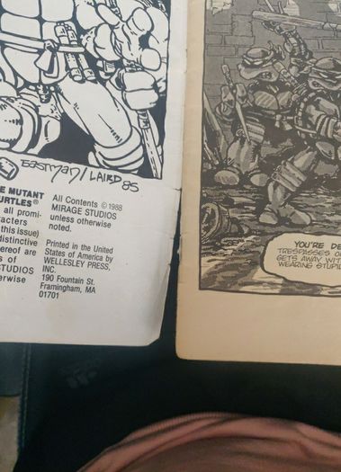 Teenage Mutant Ninja Turtles 1 (1988) 5th print