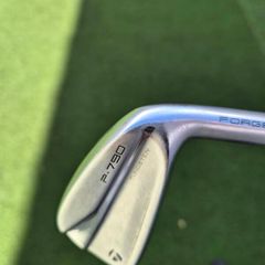 Taylormade p790 irons