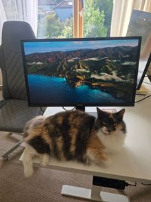 BenQ GW2470 24" Full HD Monitor