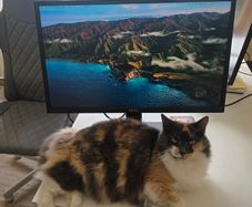 BenQ GW2470 24" Full HD Monitor