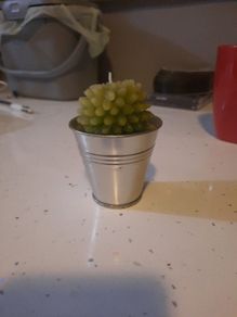 cute cactus candle