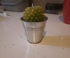 cute cactus candle