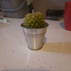 cute cactus candle