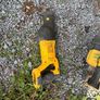 Tools Image 3