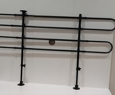 Dog guard rail