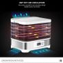 Household Food Processor Fast Food Dehydrator Stainless Steel Drying Machine Electric Air Dryer Drying Fruit Meat Fruit Image 9
