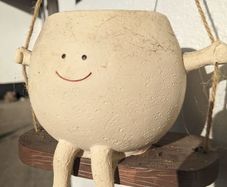 Cute plant pot