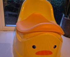 Potty with removable insert and cover