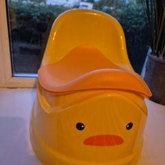Potty with removable insert and cover
