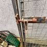 dog run gate Image 4