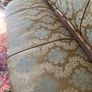 French style Victorian sofa Image 9