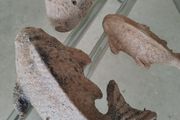 handmade garden decor
