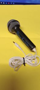 Kids Microphone