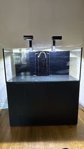 fish tank