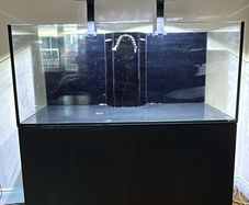 fish tank