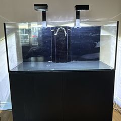 fish tank