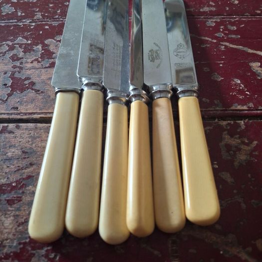 Faux Bone Handle Knives