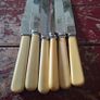 Faux Bone Handle Knives Image 2