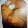 Chicco Buggy Footmuff suits most buggies Image 6
