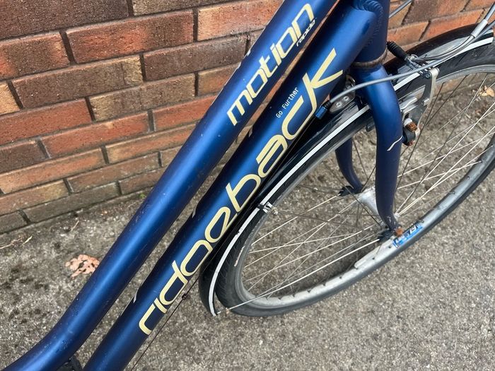 29 Inch Ridgeback Motion rapide ladies bike