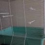 hamster cage Image 2