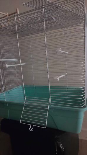 hamster cage