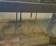 aquarium