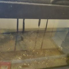 aquarium