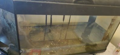 aquarium