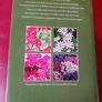 Garden Flowers From Seed / An Illustrated Dictionary/ 1981 Image 2