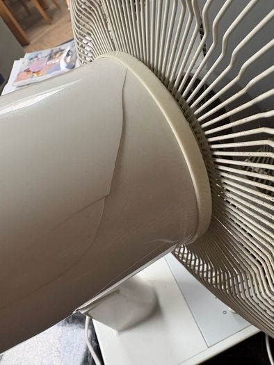 Fan