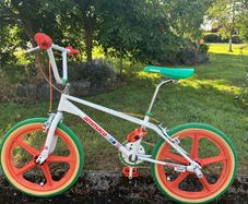 bmx skyway tuff ii