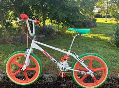 bmx skyway tuff ii